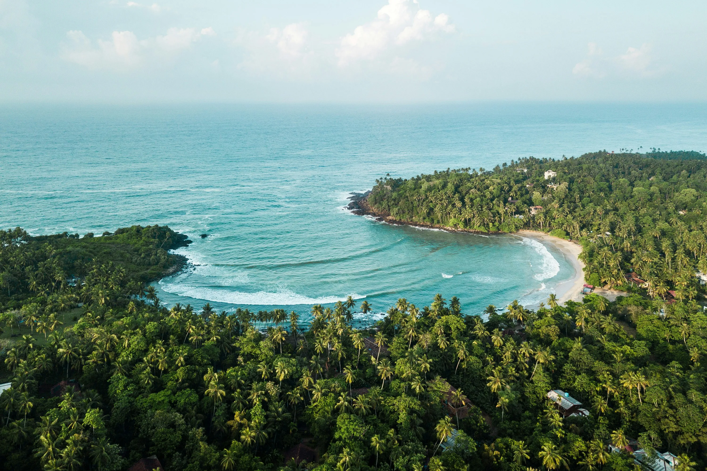 Aerial view of Hiriketiya Bay in Sri Lanka with palm trees, beach and a few waves